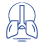 cir-toraxica